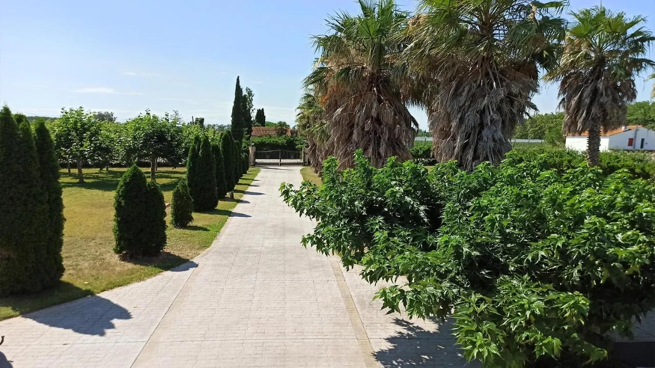 Villa Palmeras Sant Pere Pescador Espagne