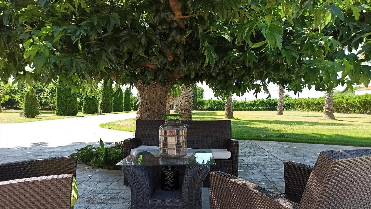 Villa Palmeras Sant Pere Pescador